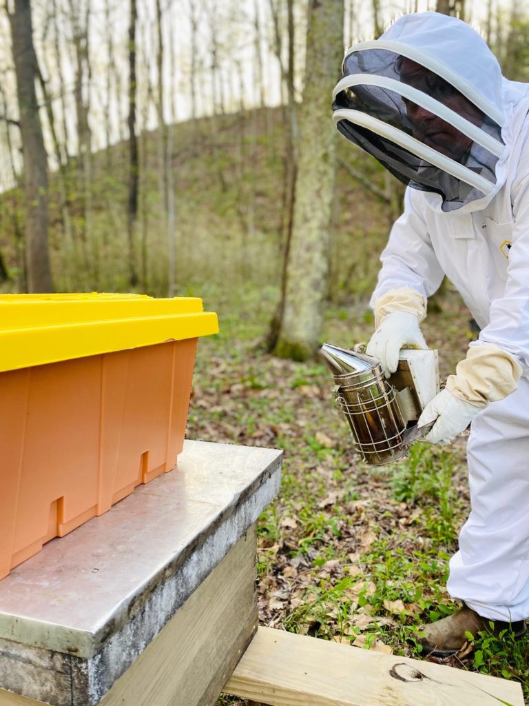 Bee Keeping